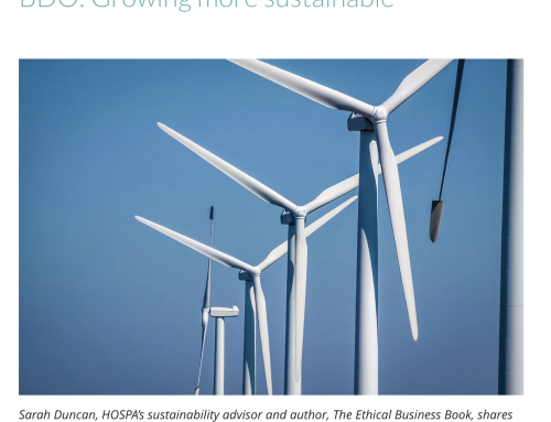 BDO: GROWING MORE SUSTAINABLE